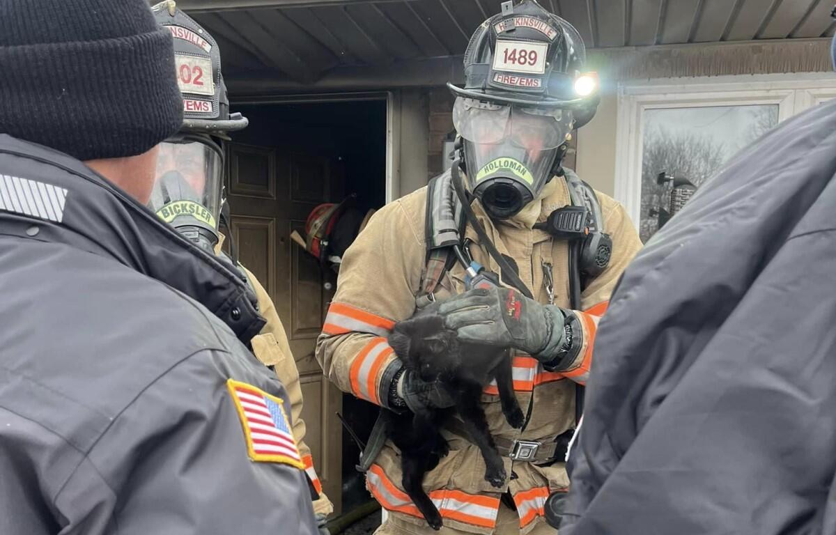 HFD saves cat from house fire. Jan. 15, 2024. (Contributed by Hopkinsville Fire Department)