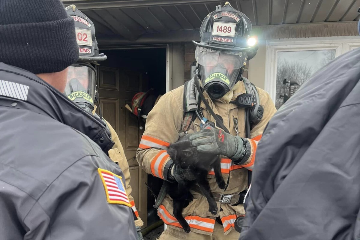 HFD saves cat from house fire. Jan. 15, 2024. (Contributed by Hopkinsville Fire Department)