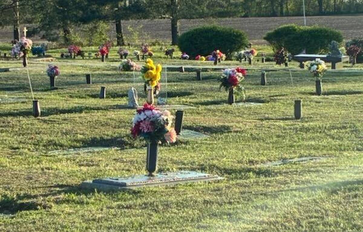 Cemetery with rows of graves, each topped with colorful bouquets and vases, sunlight casting long shadows across the lawn.
