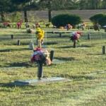 Cemetery with rows of graves, each topped with colorful bouquets and vases, sunlight casting long shadows across the lawn.