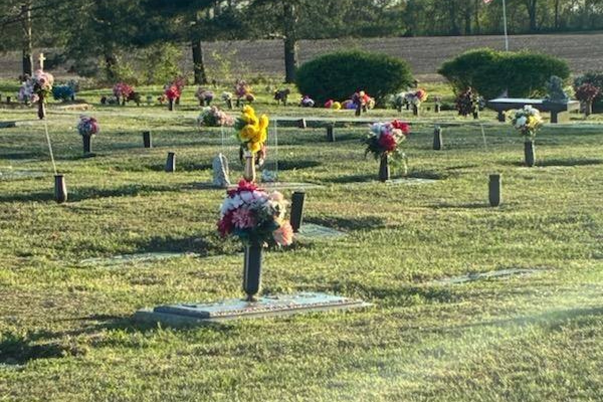 Cemetery with rows of graves, each topped with colorful bouquets and vases, sunlight casting long shadows across the lawn.