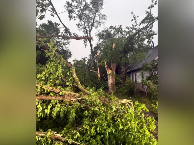 Fallen trees and broken branches scattered across a yard beside a house, suggesting storm damage.