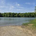 Calm lake with a pebbled shoreline and dense green trees across the water under a blue, partly cloudy sky.