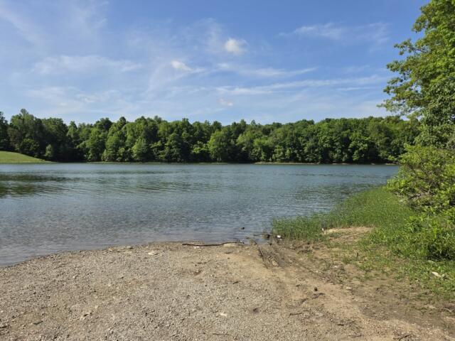 Calm lake with a pebbled shoreline and dense green trees across the water under a blue, partly cloudy sky.