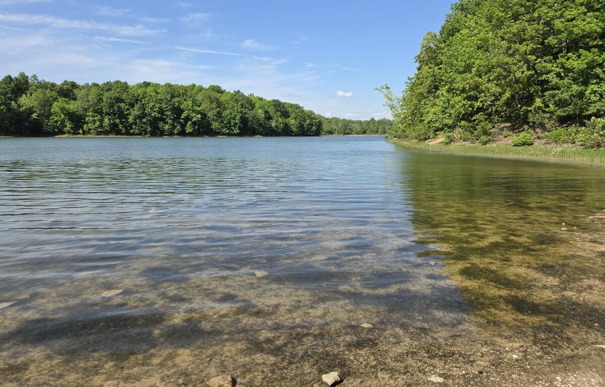 Calm lake with clear water along a rocky shoreline and dense green trees under a blue sky.