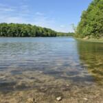 Calm lake with clear water along a rocky shoreline and dense green trees under a blue sky.