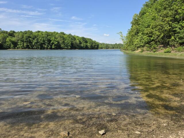 Calm lake with clear water along a rocky shoreline and dense green trees under a blue sky.