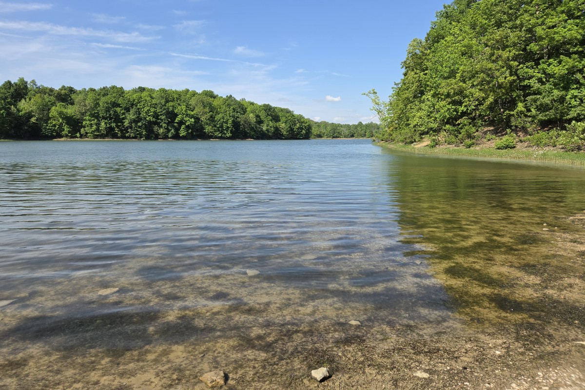 Calm lake with clear water along a rocky shoreline and dense green trees under a blue sky.
