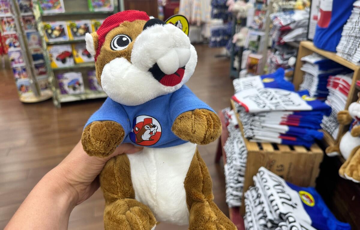 Person holds a plush mascot wearing a blue shirt with a circular cartoon dog badge in a toy store background shelves and clothes