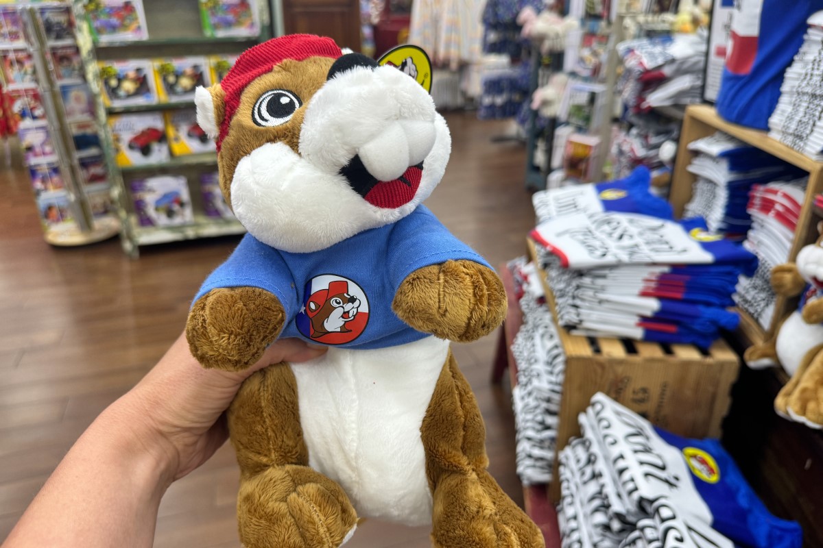 Person holds a plush mascot wearing a blue shirt with a circular cartoon dog badge in a toy store background shelves and clothes
