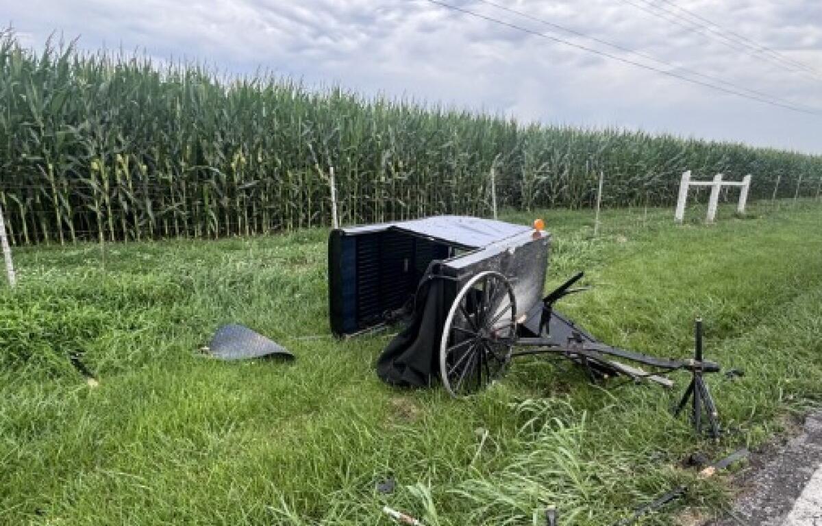 Broken horse-drawn wagon with large wheels tipped over beside a grassy roadside near a cornfield fence.
