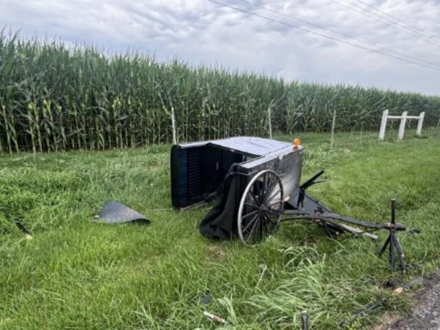 Broken horse-drawn wagon with large wheels tipped over beside a grassy roadside near a cornfield fence.