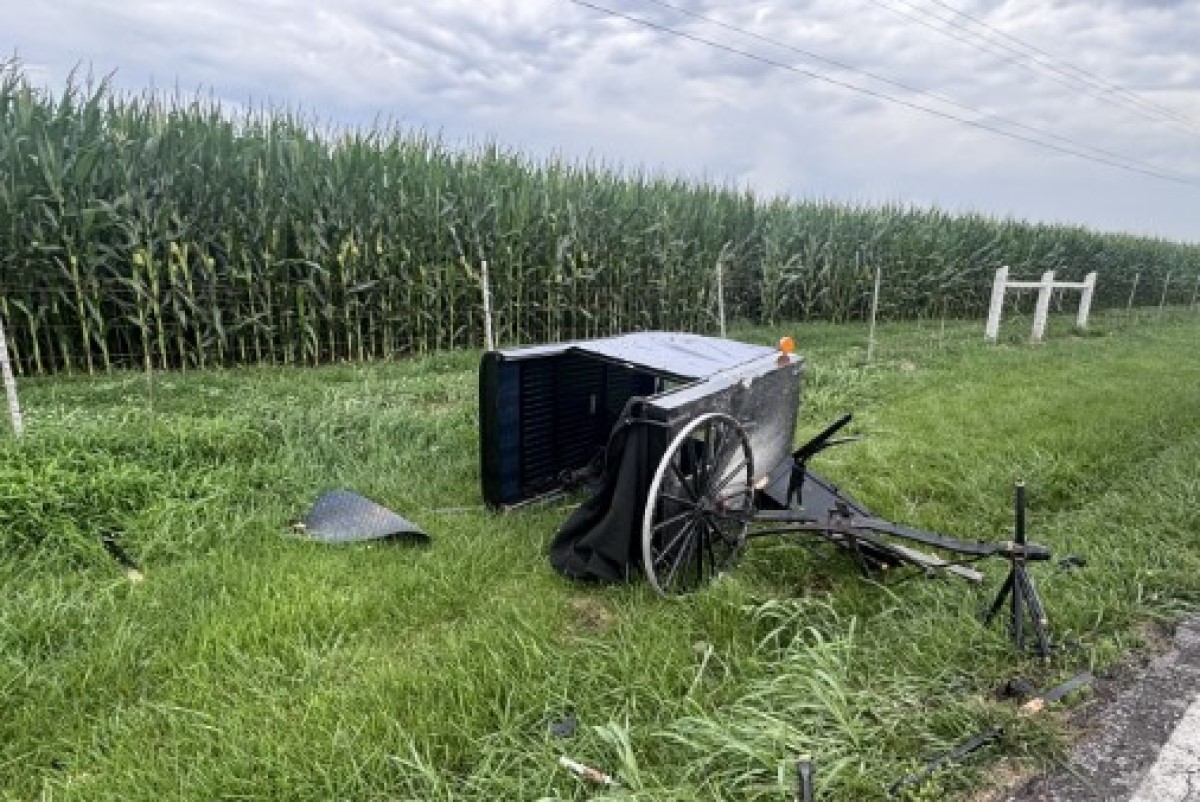 Broken horse-drawn wagon with large wheels tipped over beside a grassy roadside near a cornfield fence.