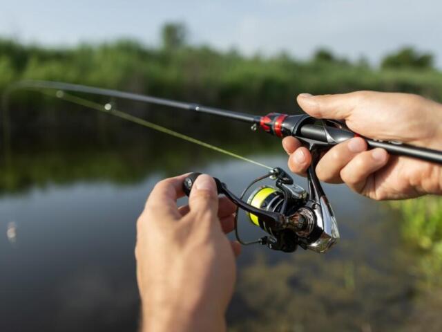 Close-up of hands adjusting a spinning fishing reel on a rod by a calm lake with green vegetation in the background