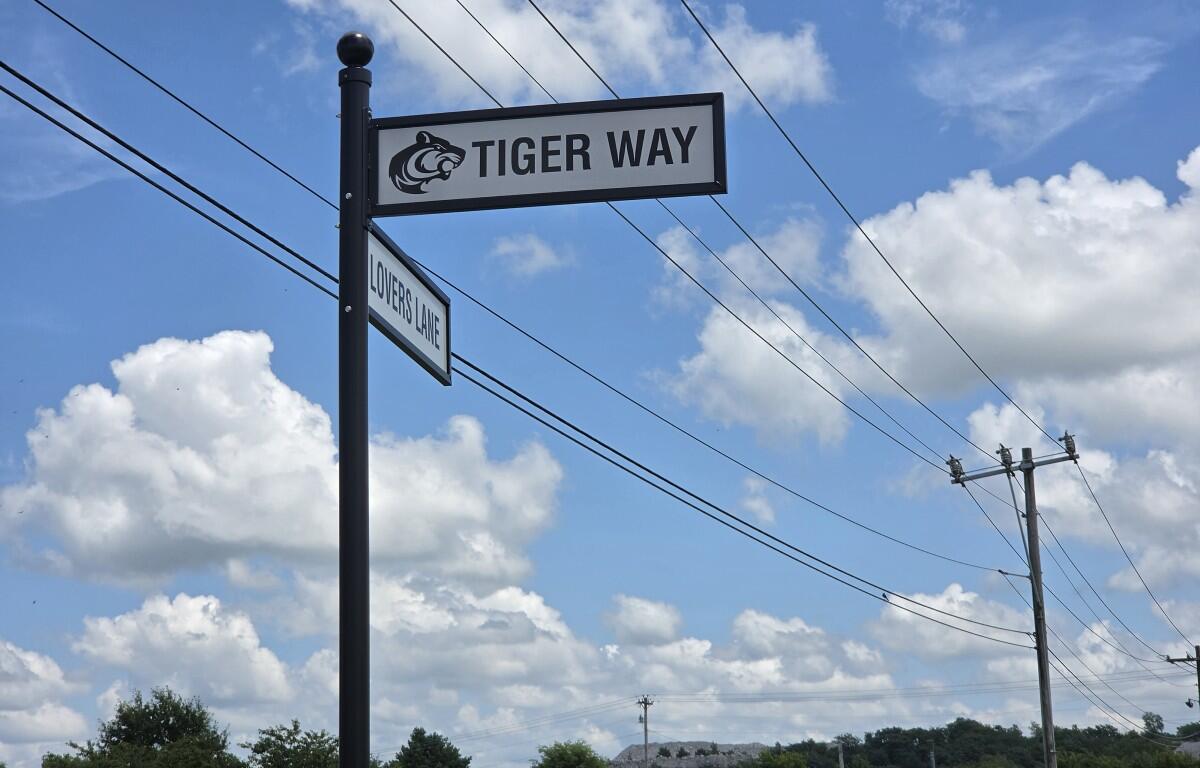Street sign with 'Tiger Way' and a tiger logo, and a smaller 'Lovers Lane' sign on a tall black pole against a blue sky.