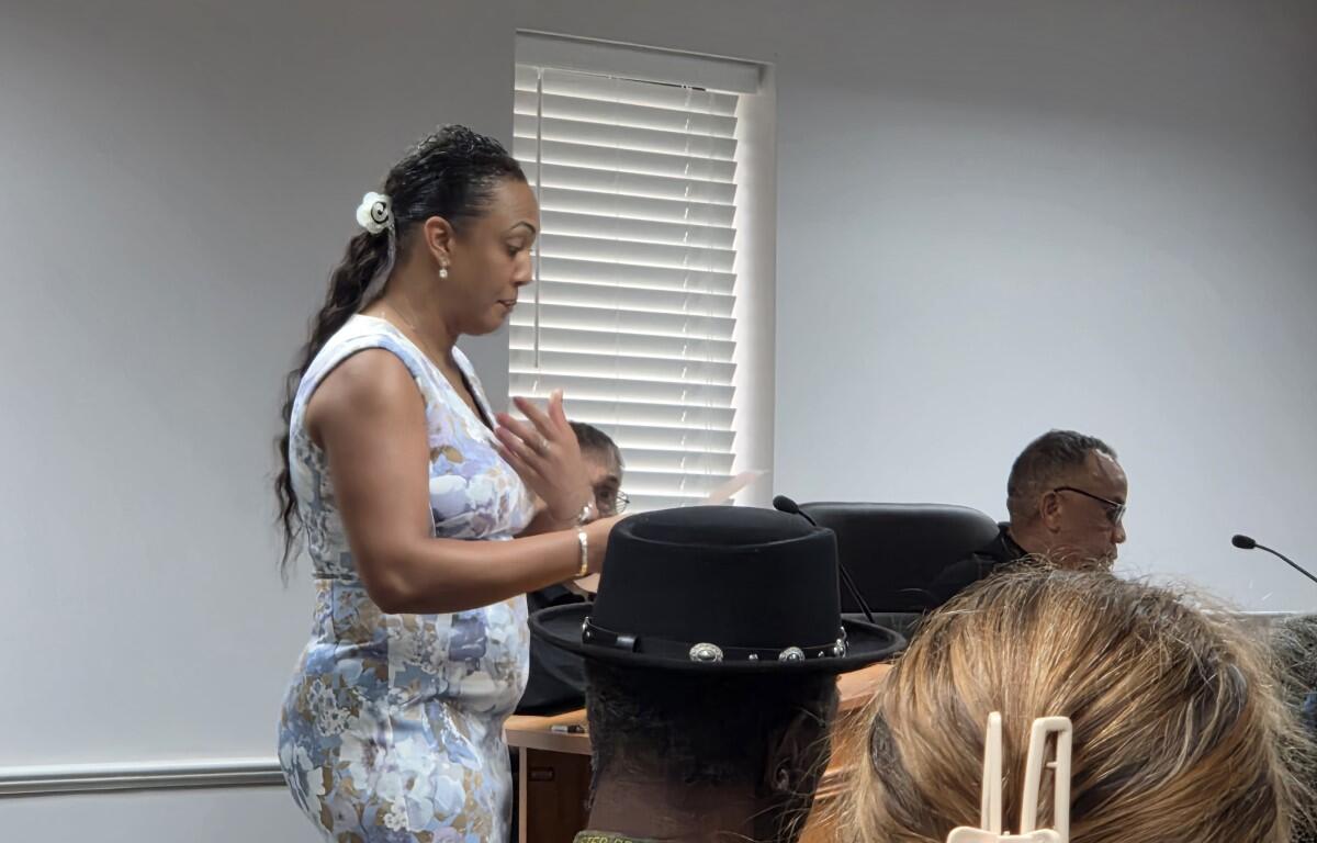 Woman in a blue floral dress standing and speaking at a conference table while others listen in a meeting room.