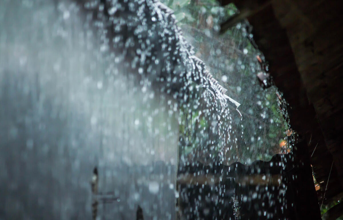 Close-up of water droplets on a glass surface with a blurred outdoor background
