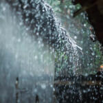 Close-up of water droplets on a glass surface with a blurred outdoor background