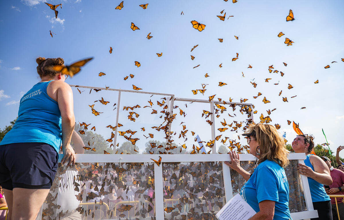 18th Annual Butterfly Festival at the War Memorial Walking Trail in Oak Grove, KY on September 5, 2026 (Wesley Irvin)