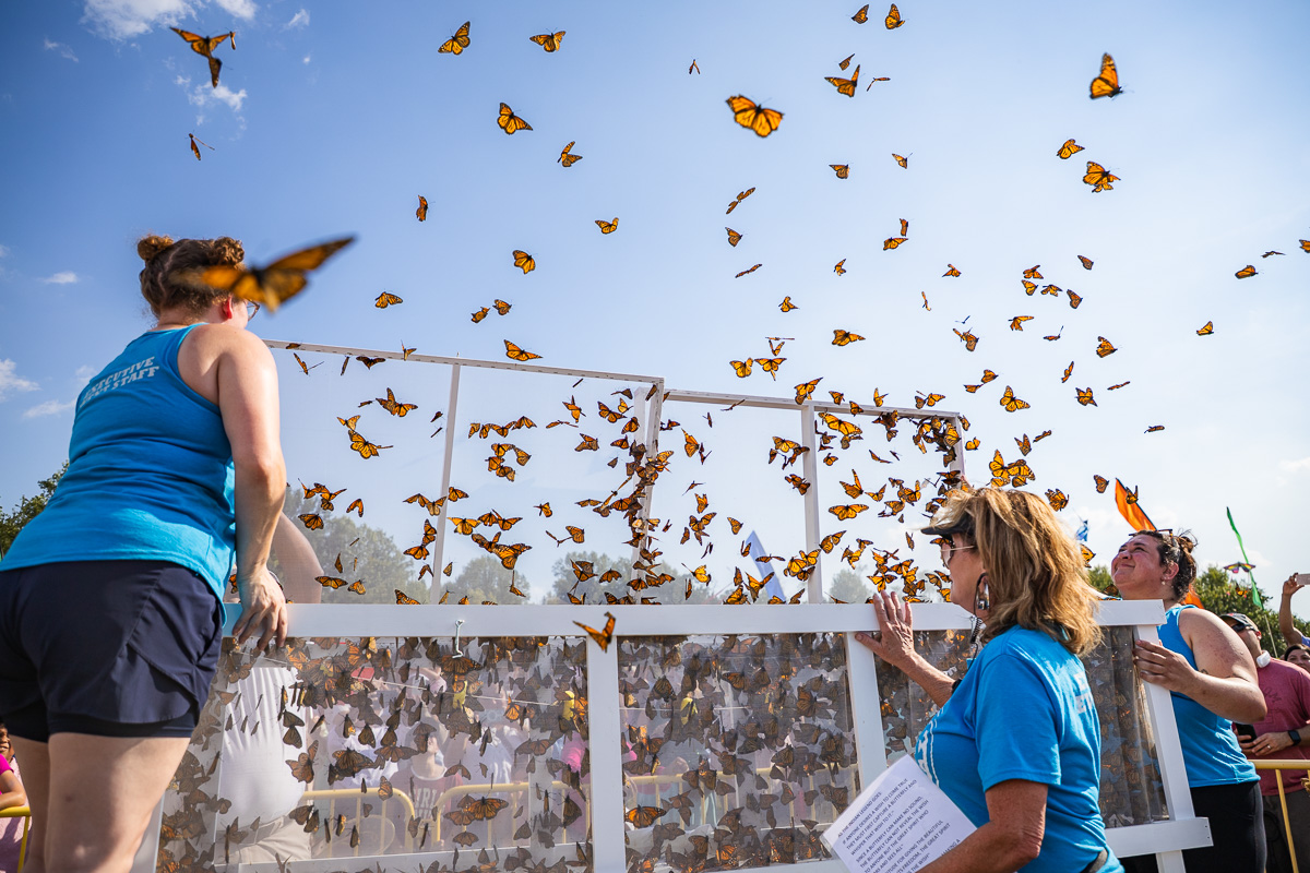 18th Annual Butterfly Festival at the War Memorial Walking Trail in Oak Grove, KY on September 5, 2026 (Wesley Irvin)